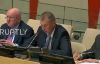 UN-Chlorine-was-placed-in-Douma-by-militants-for-provocative-purposes-Russias-OPCW-rep.-Shulgin